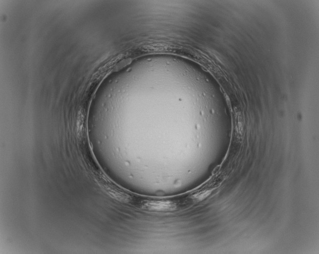 X0000067330507200604131704