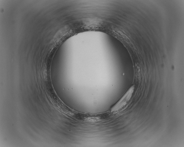 X0000067330508200604131704