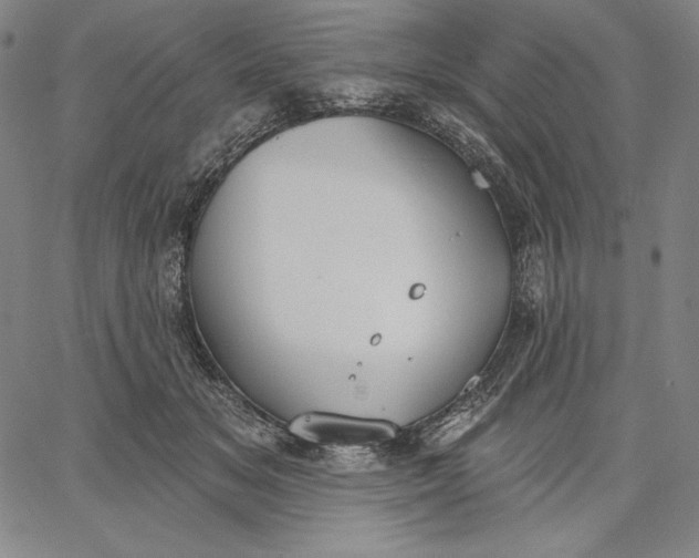 X0000067330509200604131704