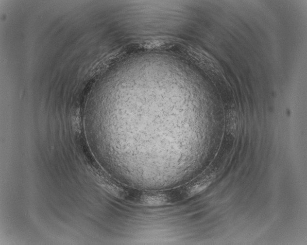 X0000067330510200604131704