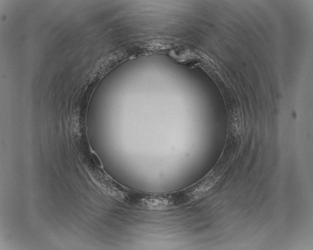 X0000067330512200604131704