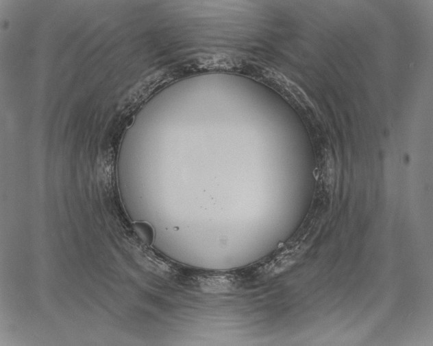 X0000067330513200604131704