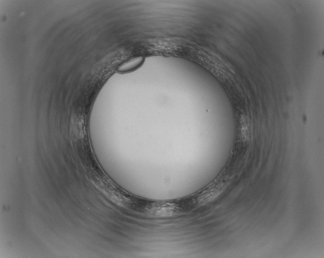 X0000067330514200604131704