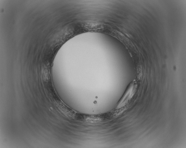 X0000067330515200604131704