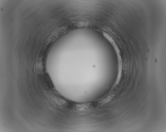 X0000067330516200604131704