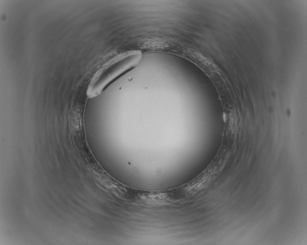 X0000067330517200604131704