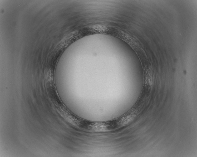 X0000067330518200604131704