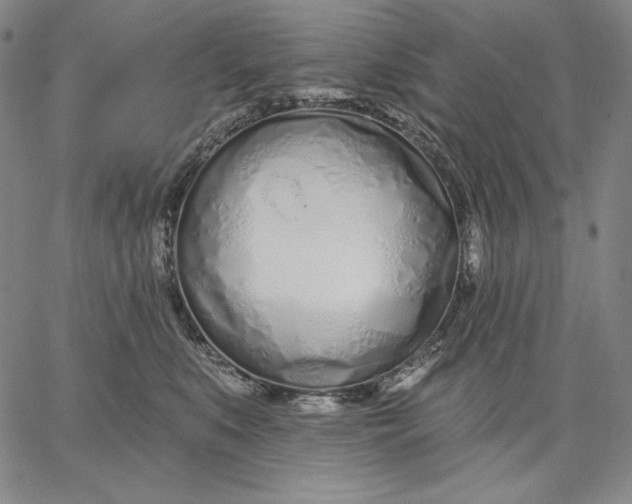 X0000067330519200604131704