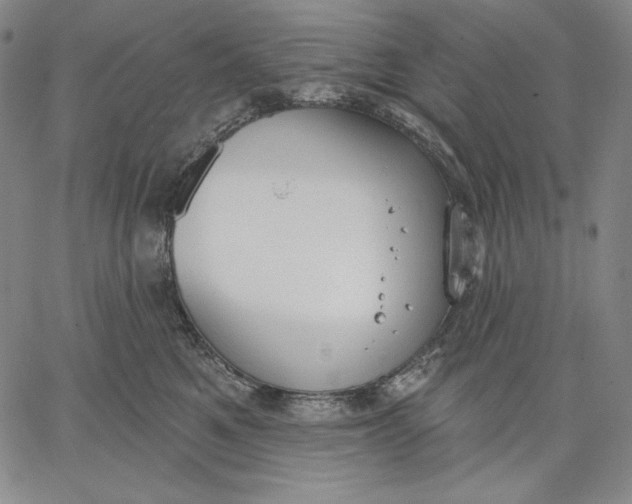 X0000067330521200604131704