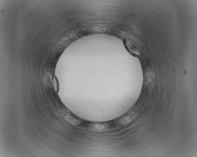 X0000067330522200604131704