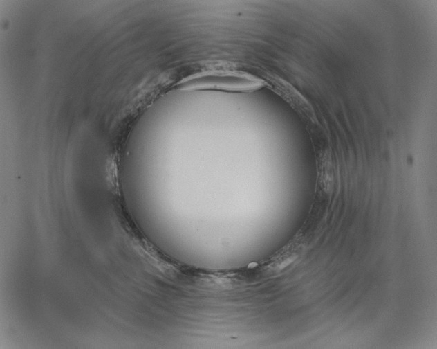 X0000067330523200604131704