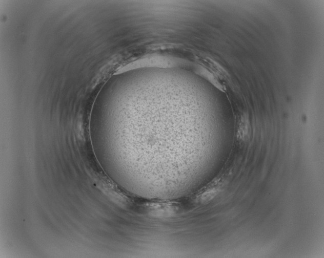 X0000067330524200604131704