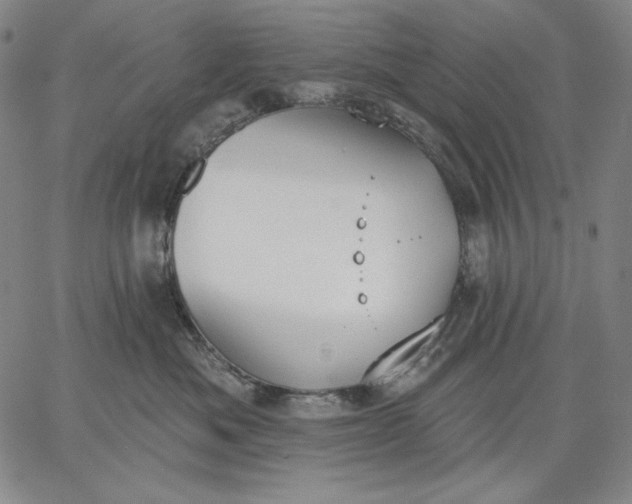 X0000067330525200604131704