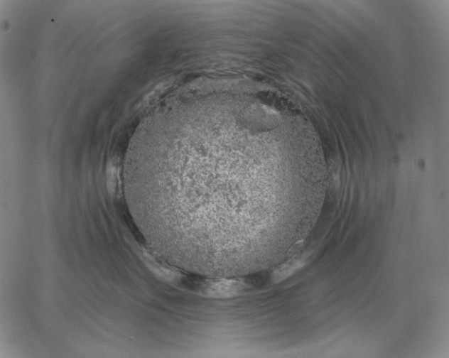 X0000067330527200604131704