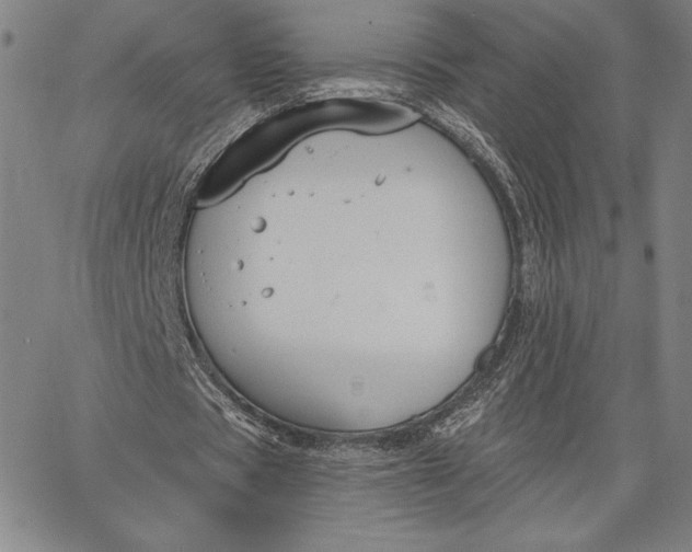 X0000067330529200604131703