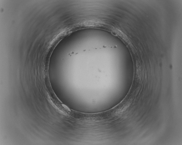 X0000067330530200604131703