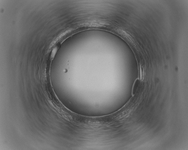 X0000067330531200604131703