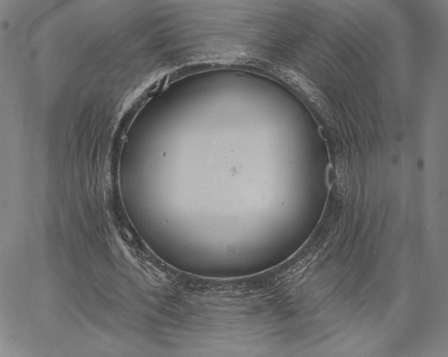 X0000067330532200604131703