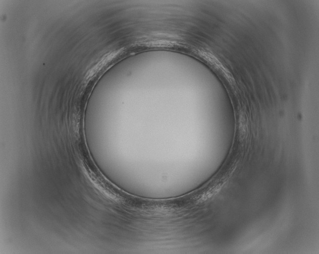 X0000067330533200604131703