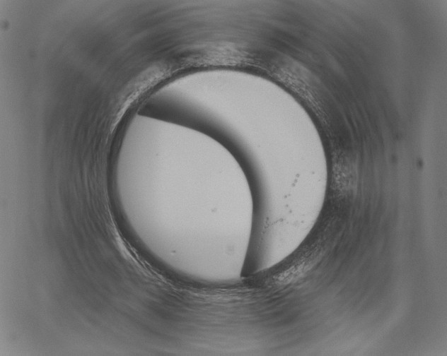 X0000067330534200604131703