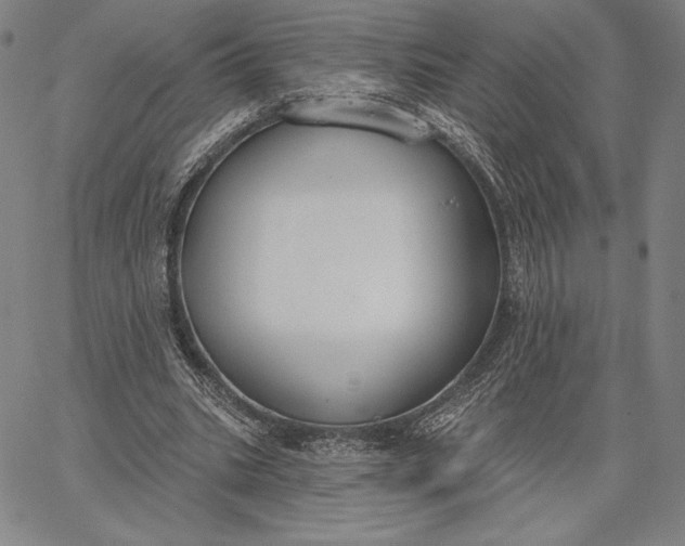 X0000067330535200604131703