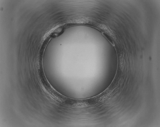 X0000067330536200604131703