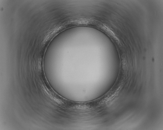 X0000067330537200604131703