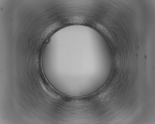 X0000067330538200604131703