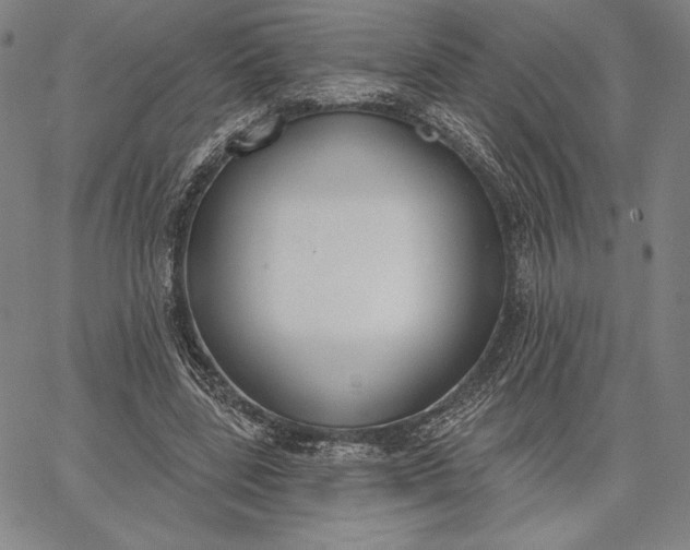 X0000067330539200604131703