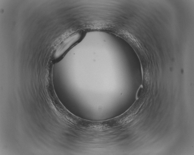 X0000067330540200604131703