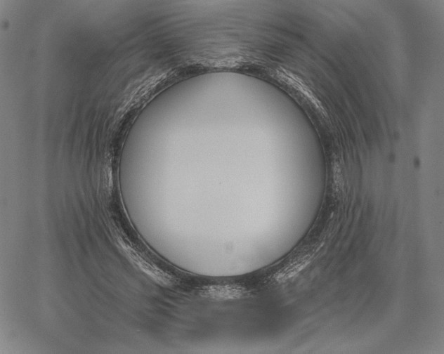 X0000067330541200604131703