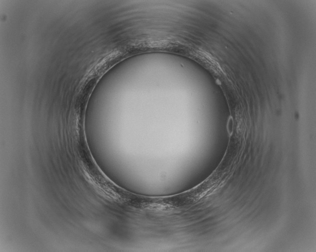 X0000067330542200604131703