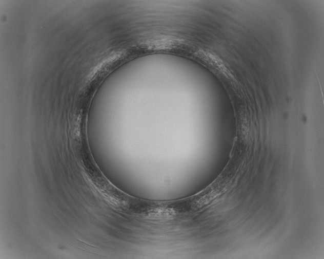 X0000067330543200604131703