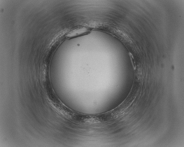 X0000067330544200604131703