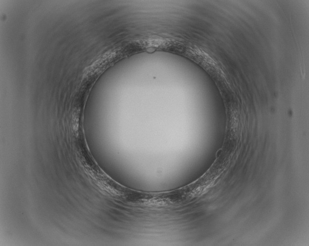 X0000067330545200604131703