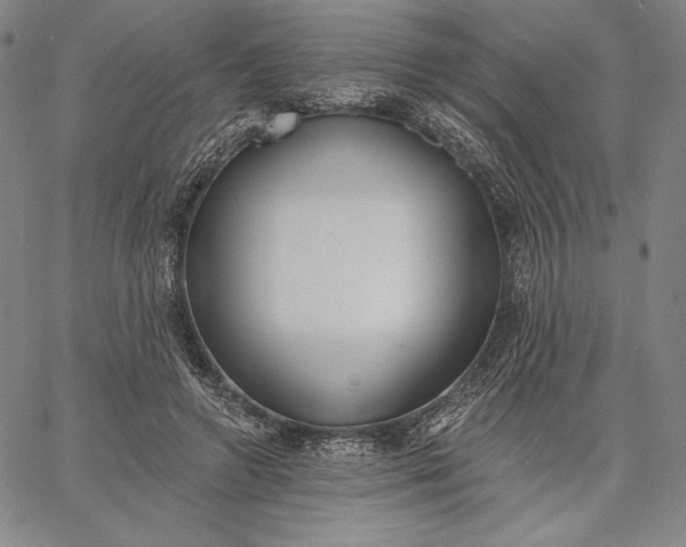 X0000067330546200604131703