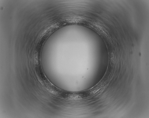 X0000067330547200604131703