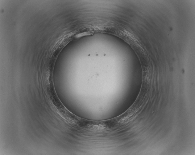 X0000067330548200604131703