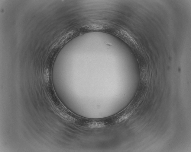 X0000067330549200604131703