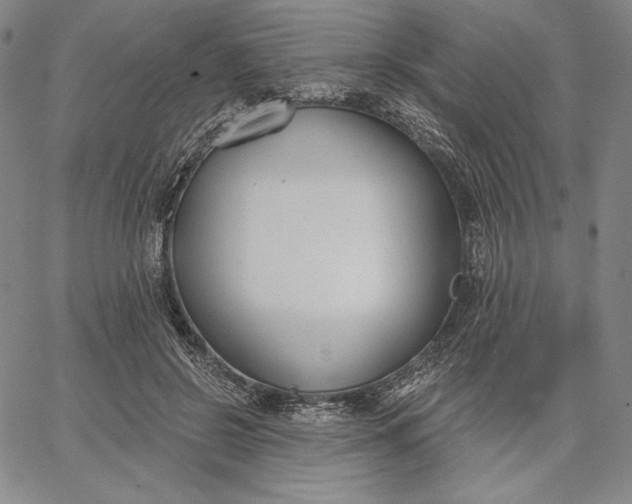 X0000067330550200604131703