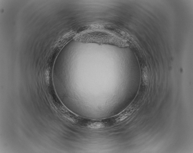 X0000067330551200604131703