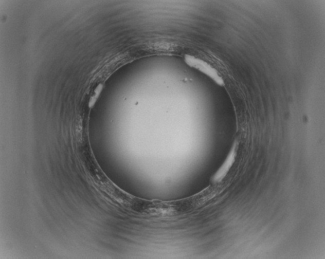 X0000067330552200604131703