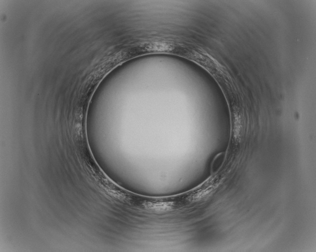 X0000067330553200604131703