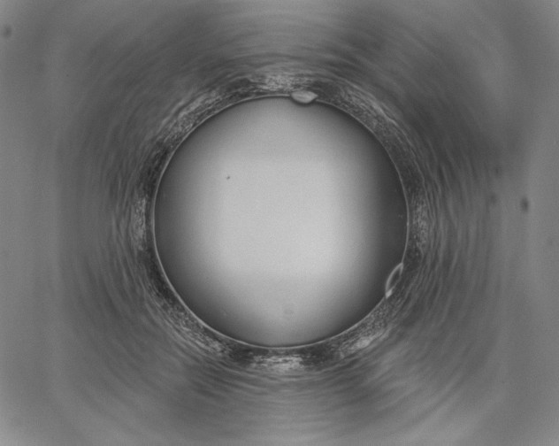 X0000067330554200604131703