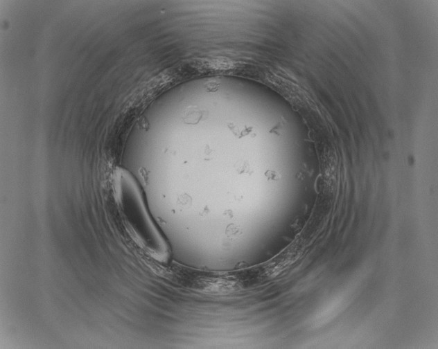 X0000067330555200604131703