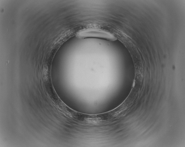 X0000067330556200604131703