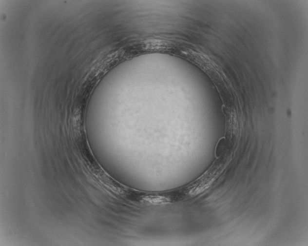 X0000067330557200604131703