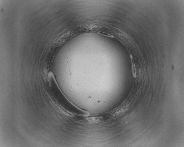 X0000067330558200604131703