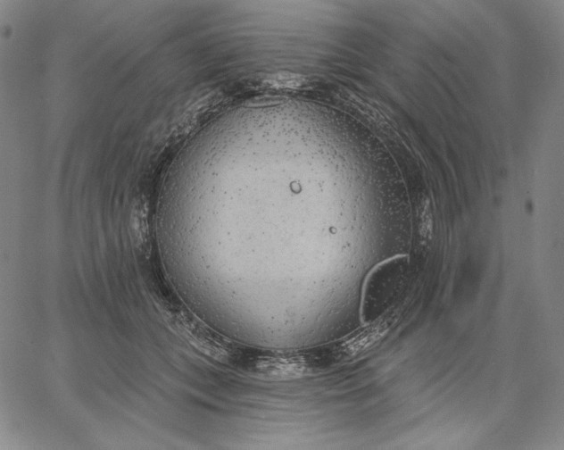 X0000067330559200604131703