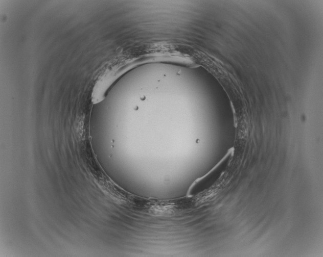 X0000067330560200604131703